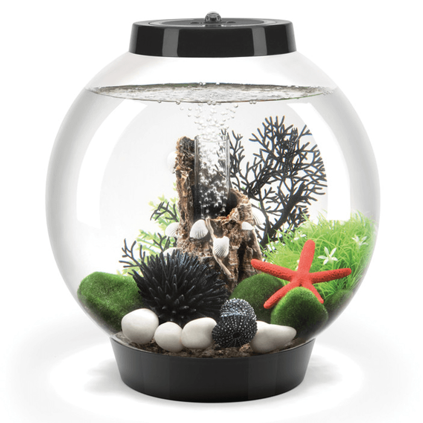 biOrb Baby 15L Aquarium in Black with MCR LED Lighting