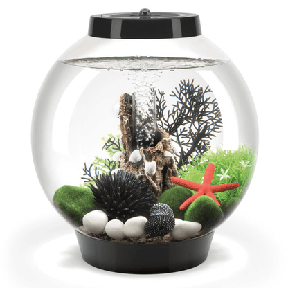 biOrb Baby 15L Aquarium in Black with MCR LED Lighting