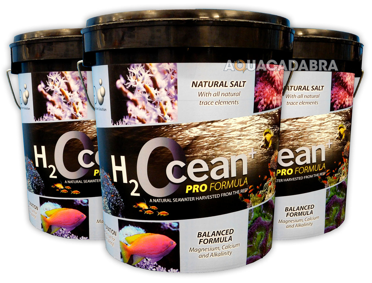 D-D H2Ocean Pro+ Marine Reef Aquarium Salt 6.6kg 23kg Multi Pack Buckets