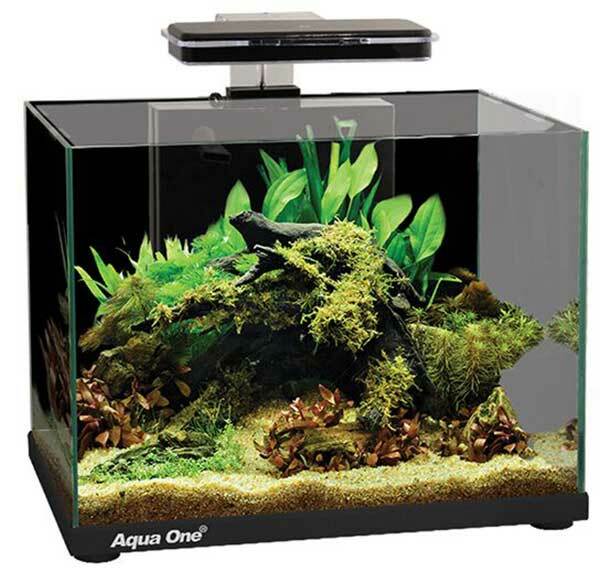 Aqua One Focus 25L Glass Aquarium