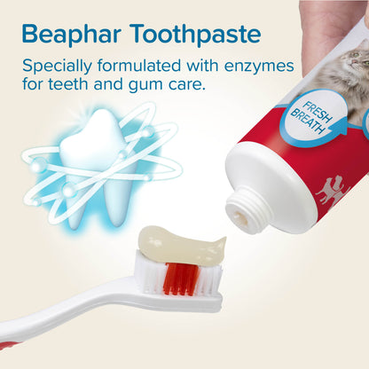 Beaphar Dental Kit Toothbrush & Paste for Cat & Dogs