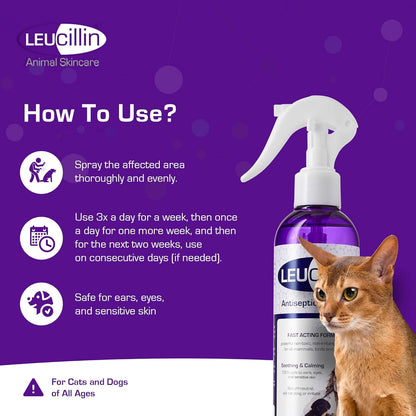 Leucillin Antiseptic Dog Cat Skin Care Solution Spray Instant Germ Killer