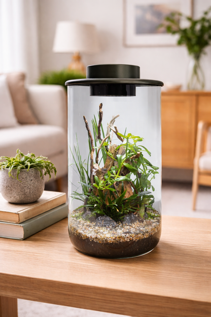 BioArt Cylinder 285 Black Nano Garden – 4L LED Plant Terrarium Dome