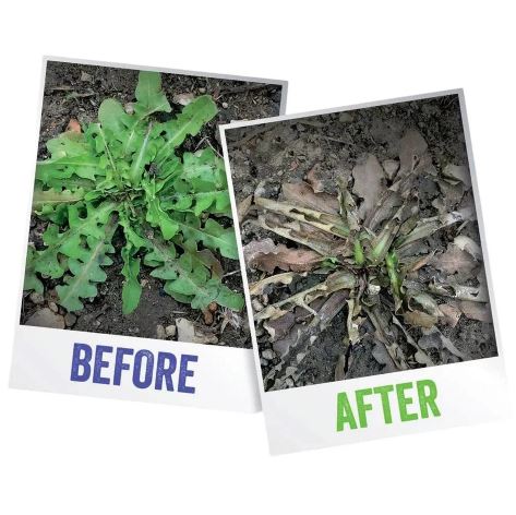 Resolva Weedkiller 5L Power Pump Refill Garden Effective Rootkill Fast-Acting
