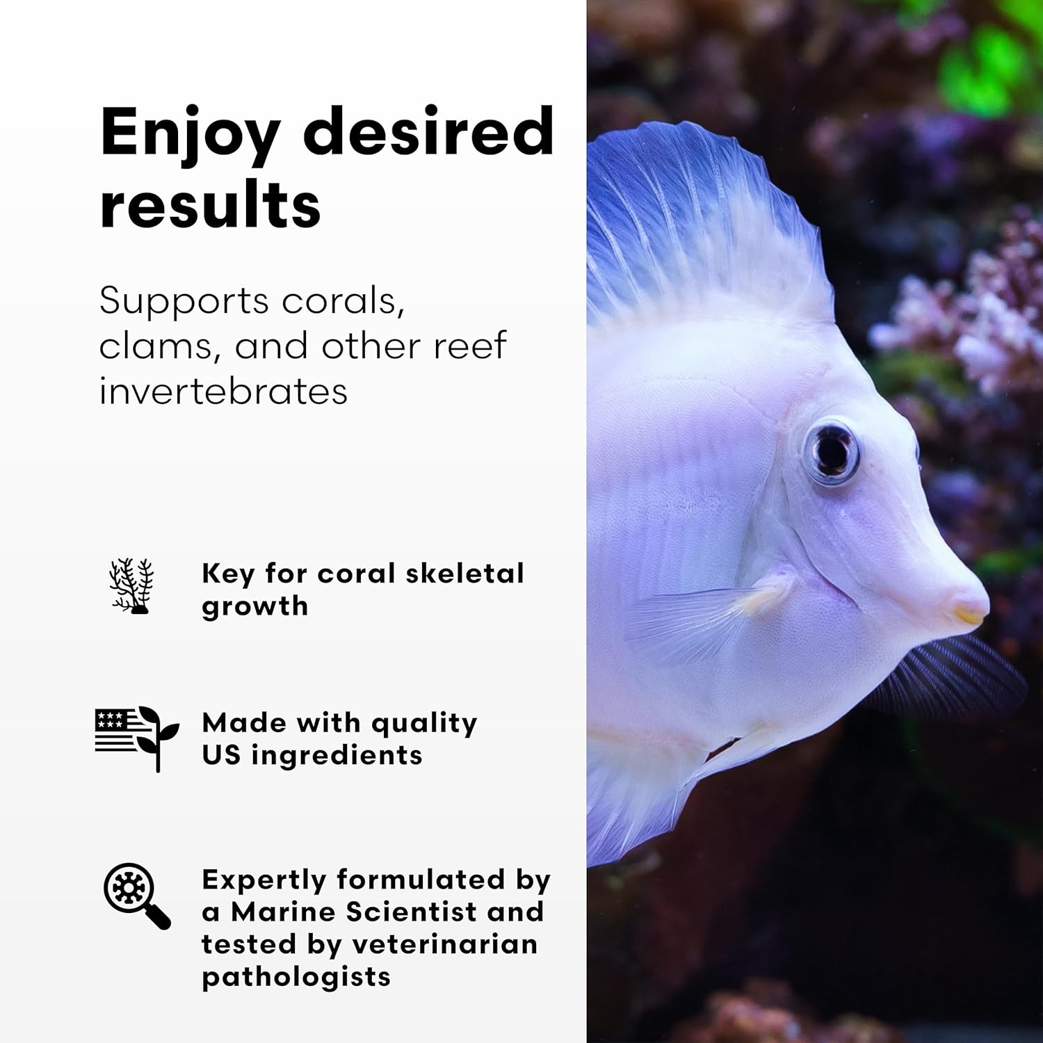 Brightwell Kalk+2 225g Marine Reef Buffer
