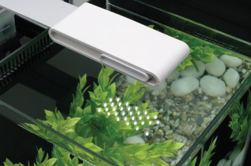 Fluval 10L White Spec Tank 10517