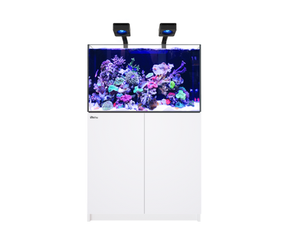Red Sea Reefer MAX 300 G3 Aquarium