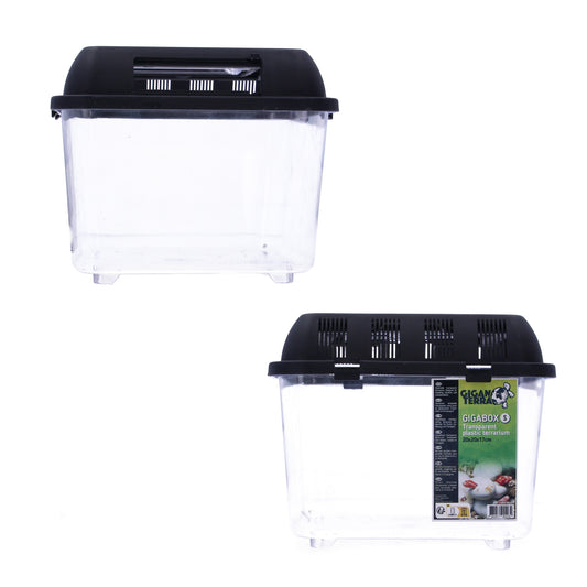 Giganterra Breeding Box S Missing Lids Bundle 13 Units Bargain !!