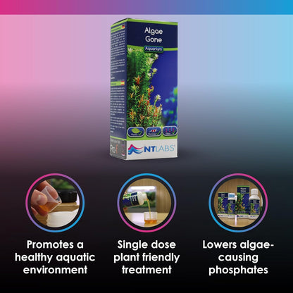 NT Labs Algae Gone 250ml