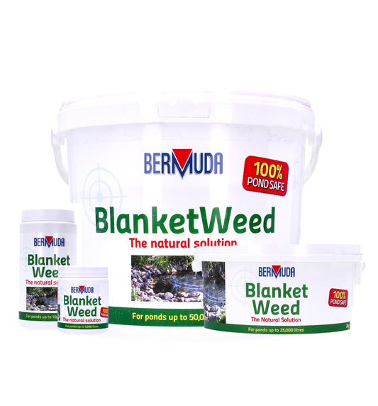 Bermuda BlanketWeed Treatment