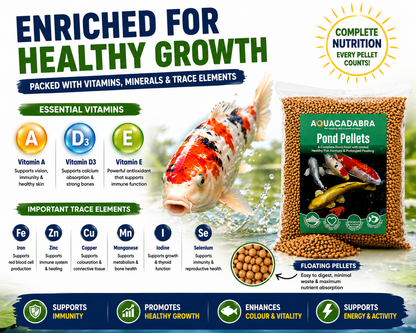 Aquacadabra Fun in the Sun Pond Feeding Bundle – Premium Pellets & Floating Feeding Ring