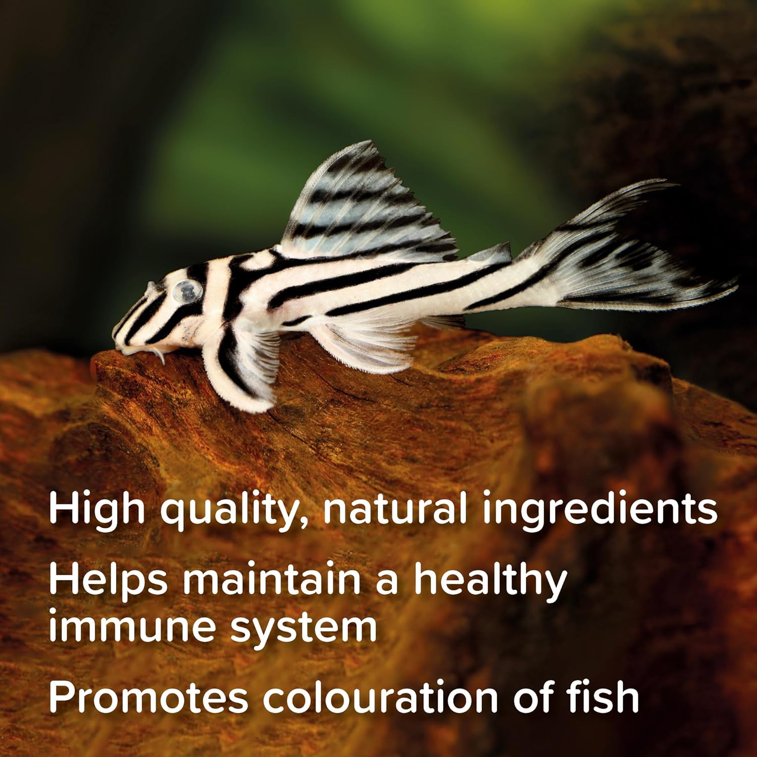 King British Catfish Pellets Bottom Feeder Aquarium Tropical Food 200g / 600g