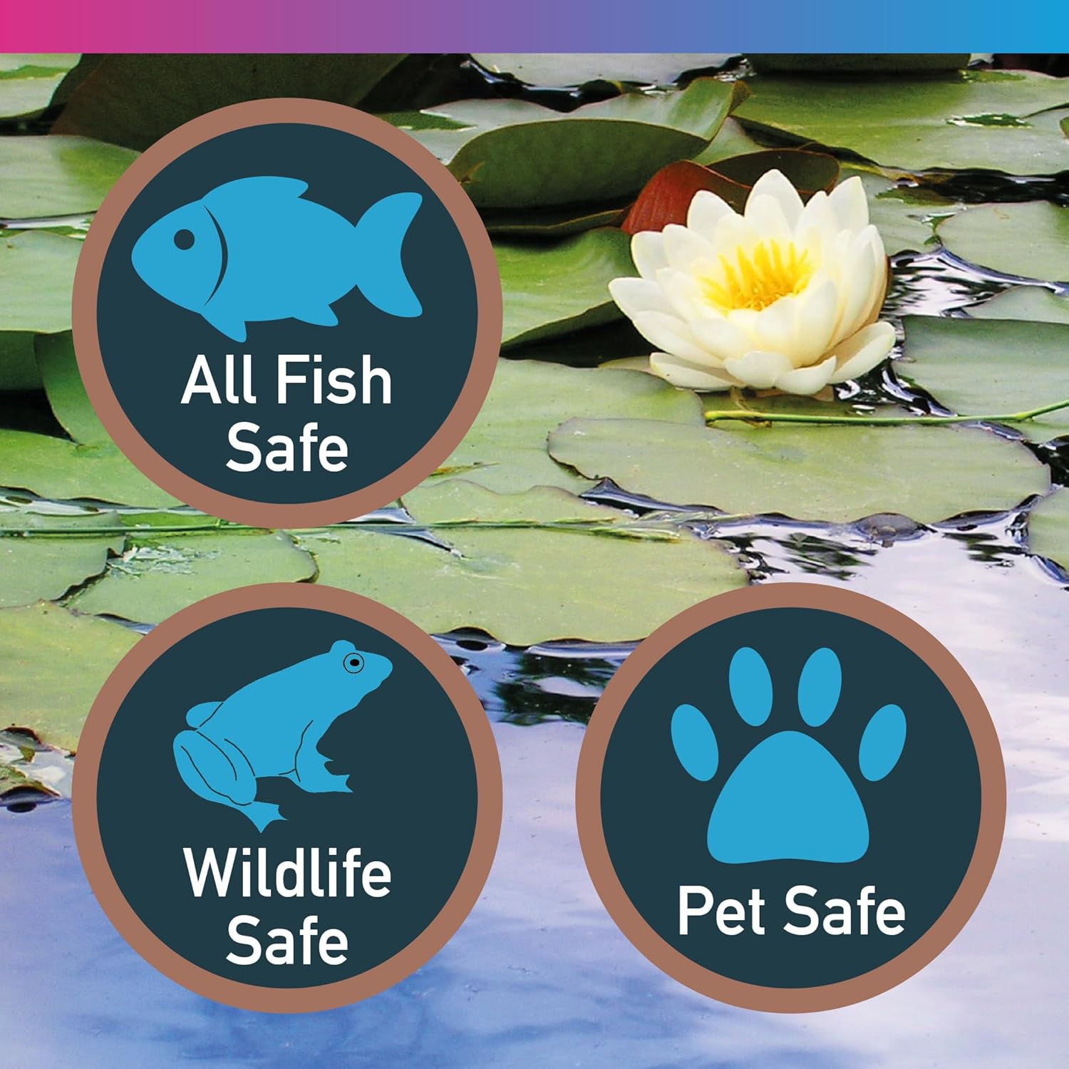 NT Labs Pond Sludge Remover Liquid Bacteria Support