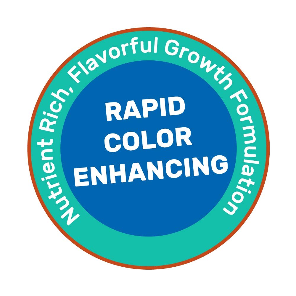 Hikari Cichlid Gold Medium Floating Pellets 1kg Fish Food