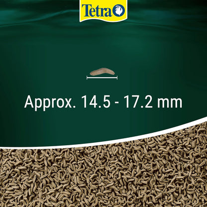Tetra ReptoMin Energy Turtle Terrapin Food Health Growth Reptile Tank