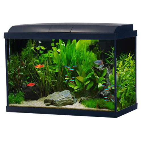 Interpet Aquaverse 70L Aquarium