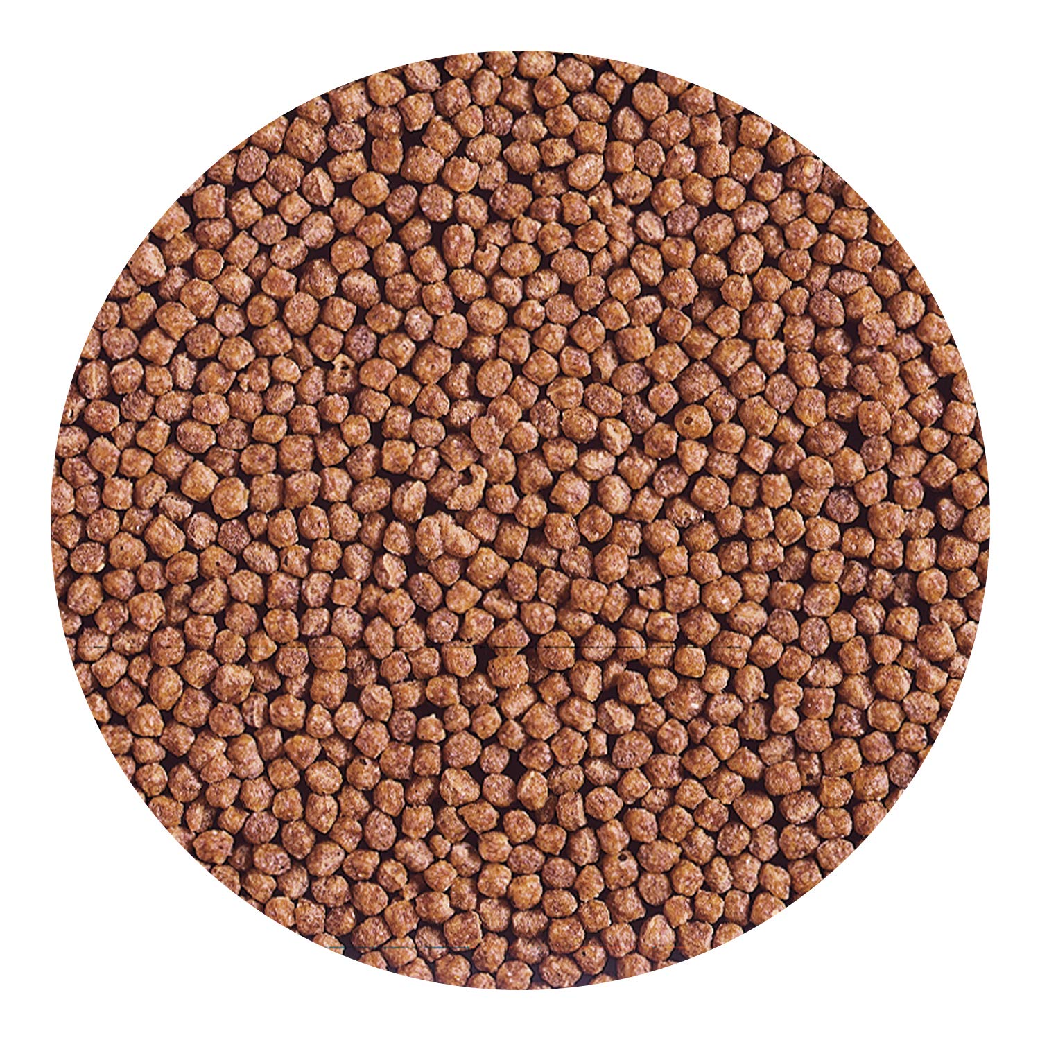 Hikari Cichlid Gold Medium Floating Pellets 1kg Fish Food