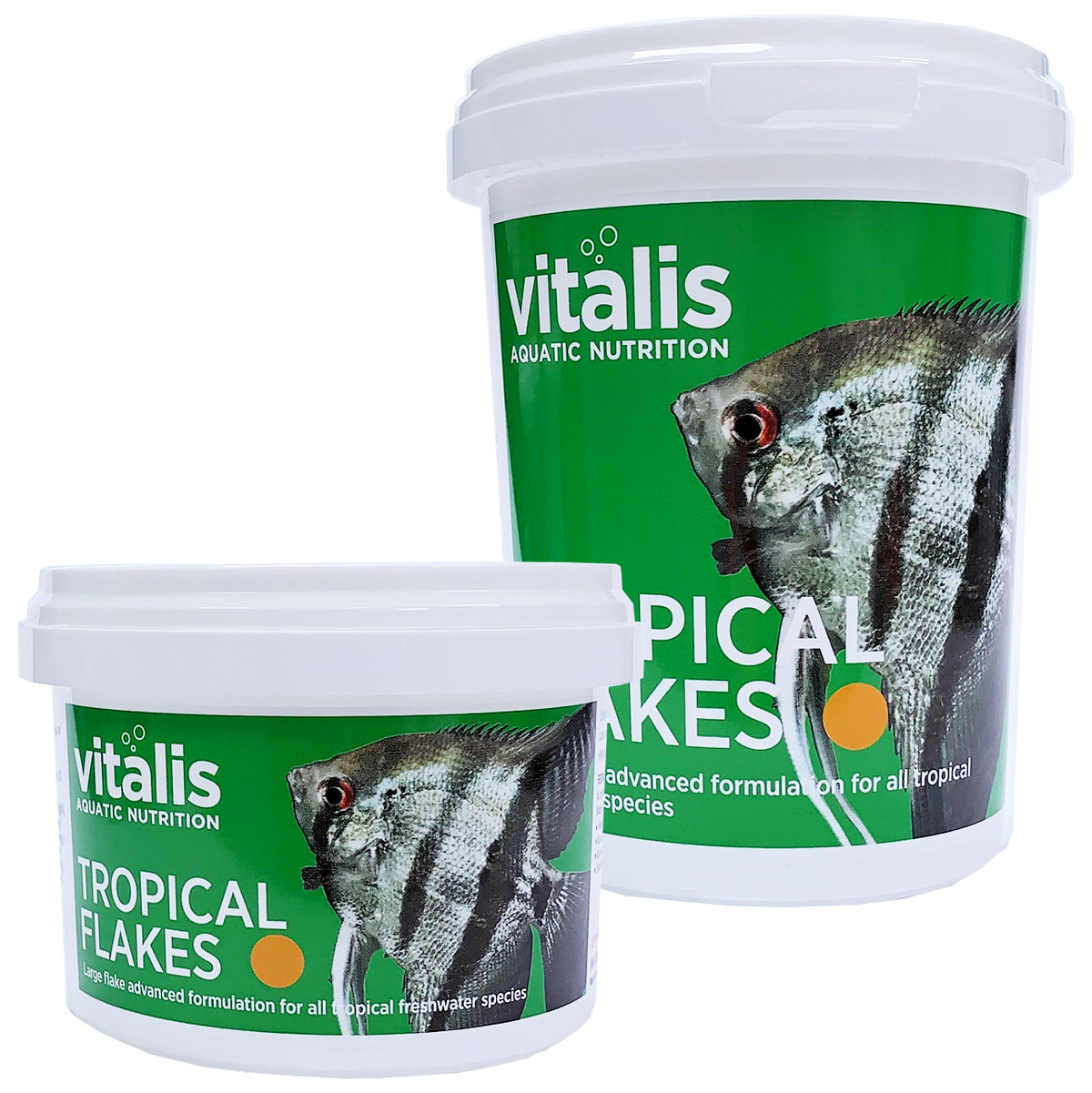 Vitalis Tropical Fish Flakes - Nutritious Color Enhancing Pellets