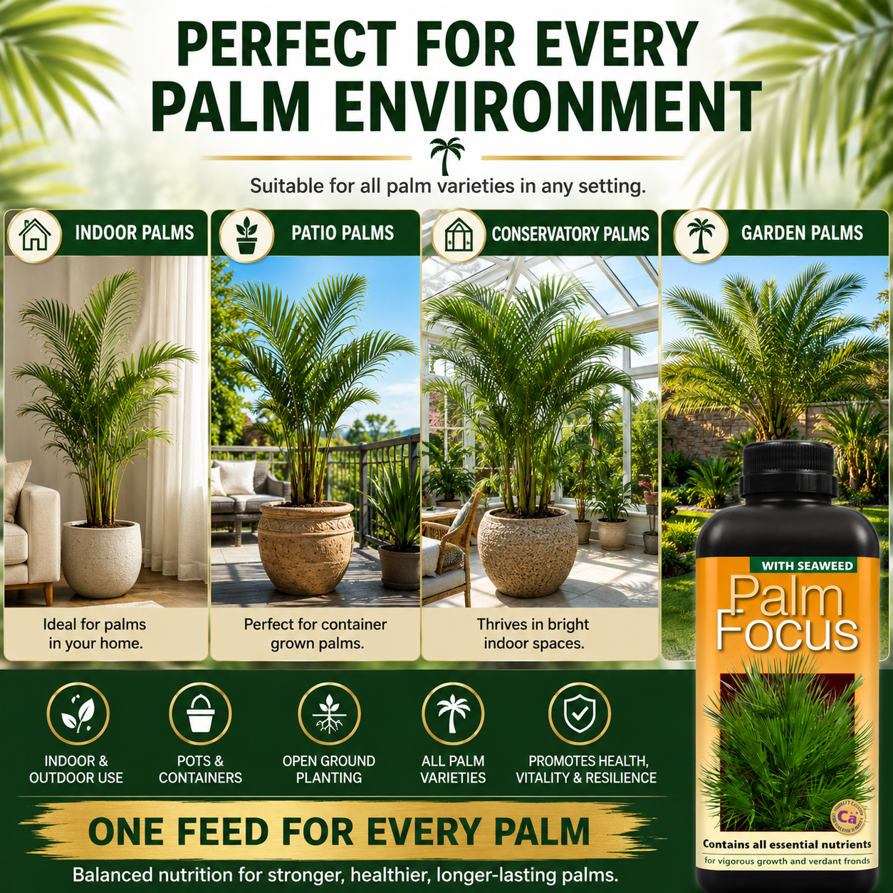 Palm Tree Fertiliser Feed For Healthy Vigorous Growth 1000 ml Palm Focus Garden