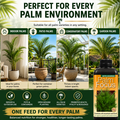 Palm Tree Fertiliser Feed For Healthy Vigorous Growth 1000 ml Palm Focus Garden