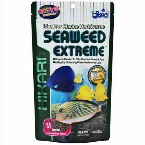 Hikari Seaweed Extreme Wafers