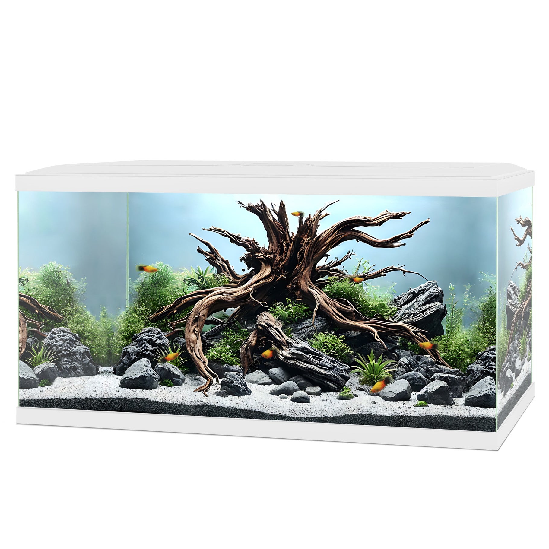 Ciano Aqua 60 Aquarium - CF80 with CF80 Filter