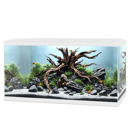 Ciano Aqua 60 Aquarium - CF80 with CF80 Filter