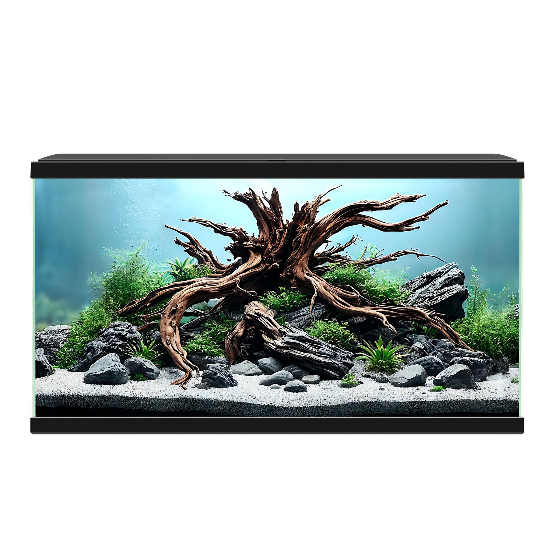 Ciano Aqua 60 Aquarium - CF80 with CF80 Filter