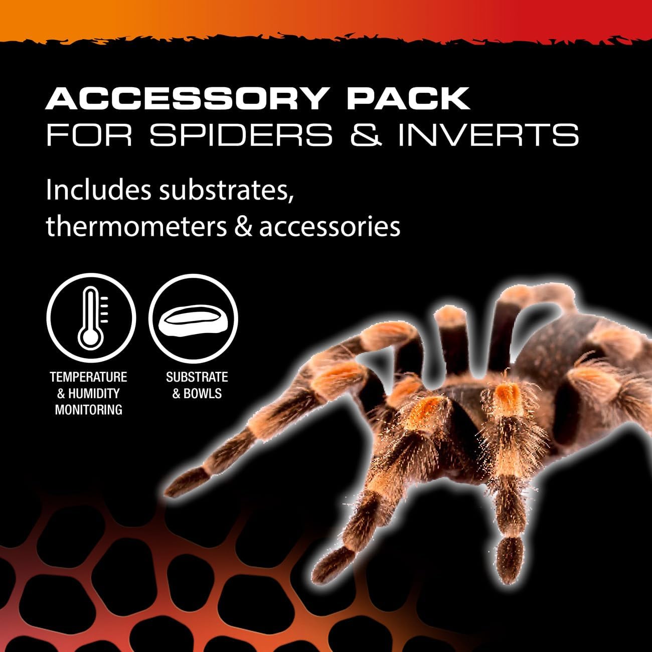 Exo Terra Spider & Invertebrate Accessory Starter Kit Habitat Care Set