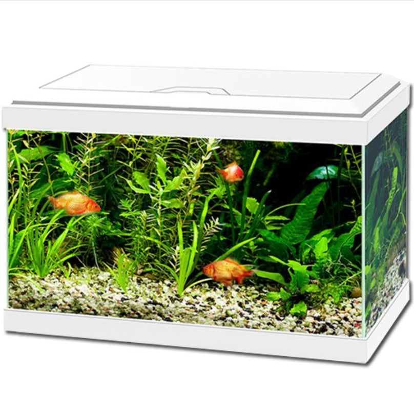Ciano Aqua 20 Aquarium w/ LED - White