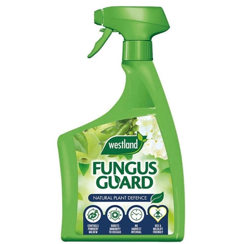Westland Fungus Guard Spray RTU 800ml Crop Plant Protection Disease