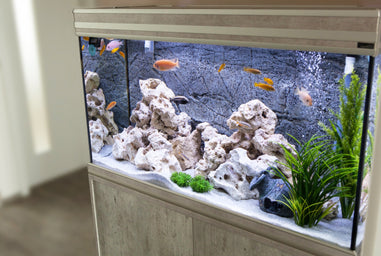 Aquarium Tanks