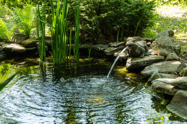 Above Ground Ponds