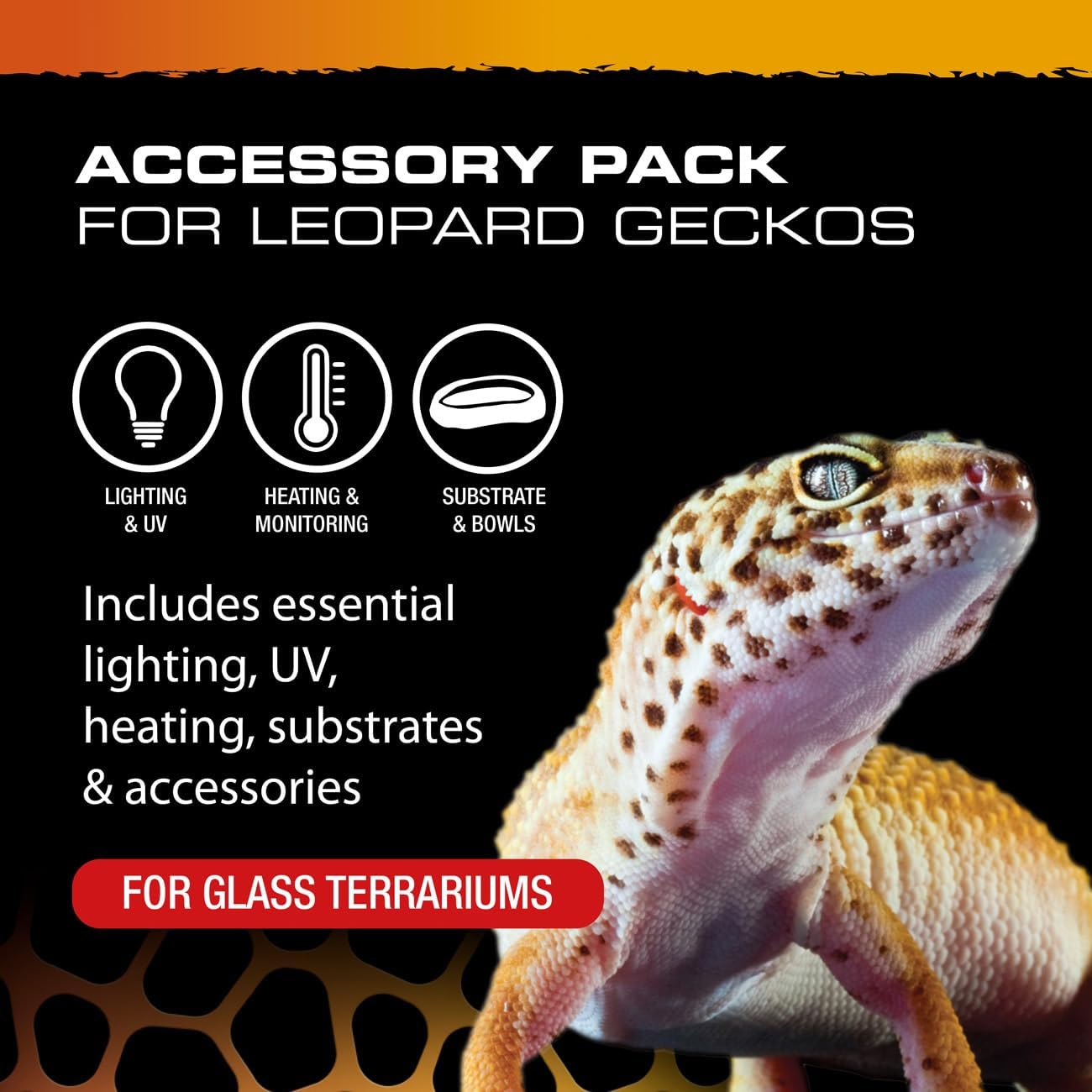 Exo Terra Leopard Gecko Accessory Starter Kit