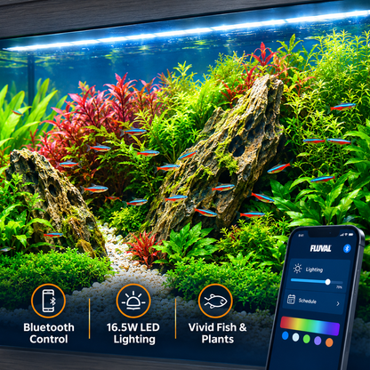 Fluval Shaker 168 Aquarium Fish Tank Cabinet 207 Filter LED Heater Bundle