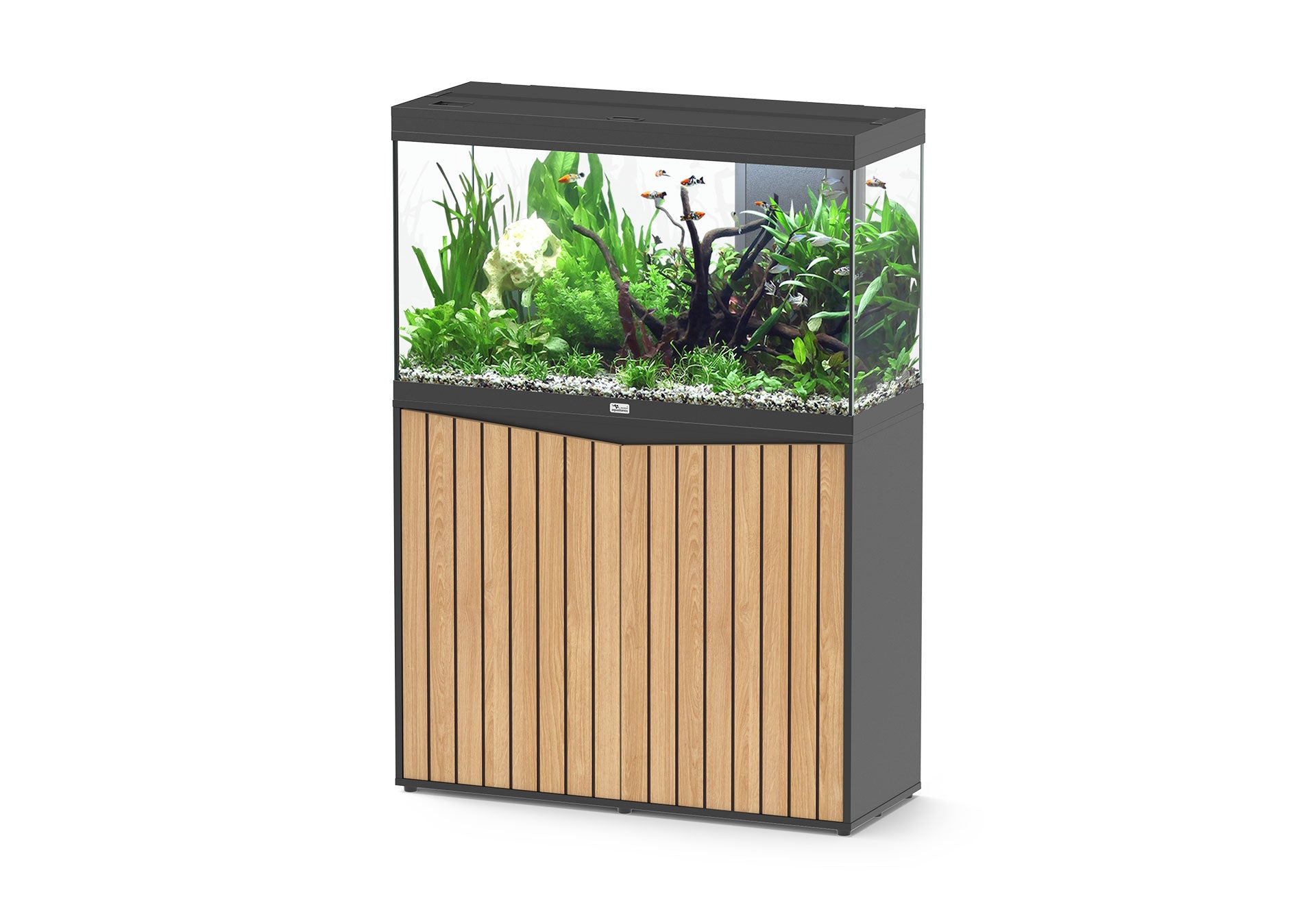 Aquatlantis Splendid Ultra 100 Aquarium