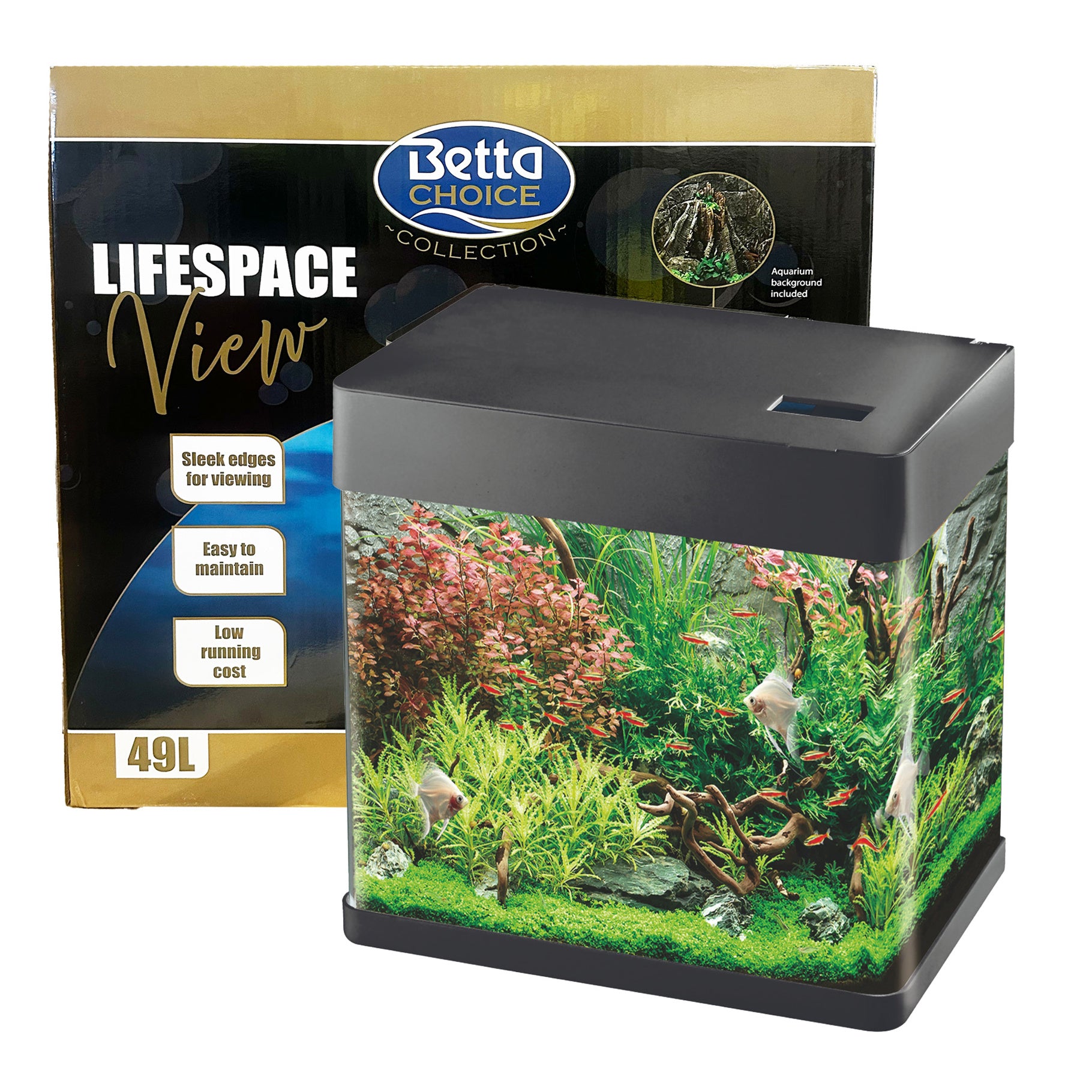 betta fish subscription box Betta Choice 49L Aquarium