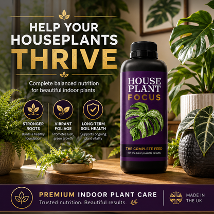 Growth Technology House Plant Focus 1L 