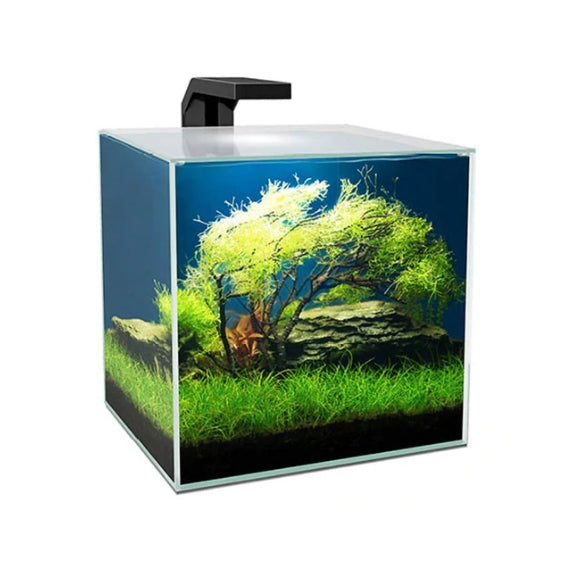 mini fish tank Self circulating fish tank with charging filter desktop  living room household water free ecological aquarium