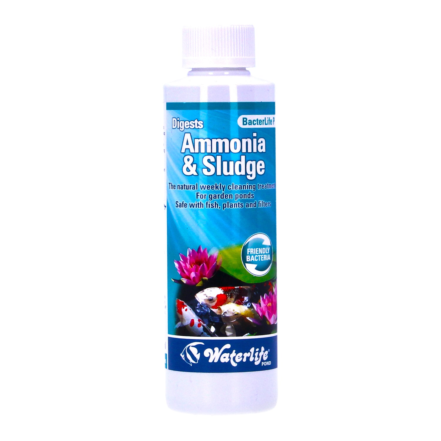 Waterlife Bacterlife P 250ml 