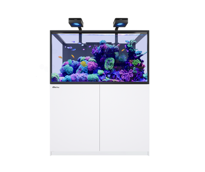 Red Sea Reefer MAX S-550 G3 Aquarium