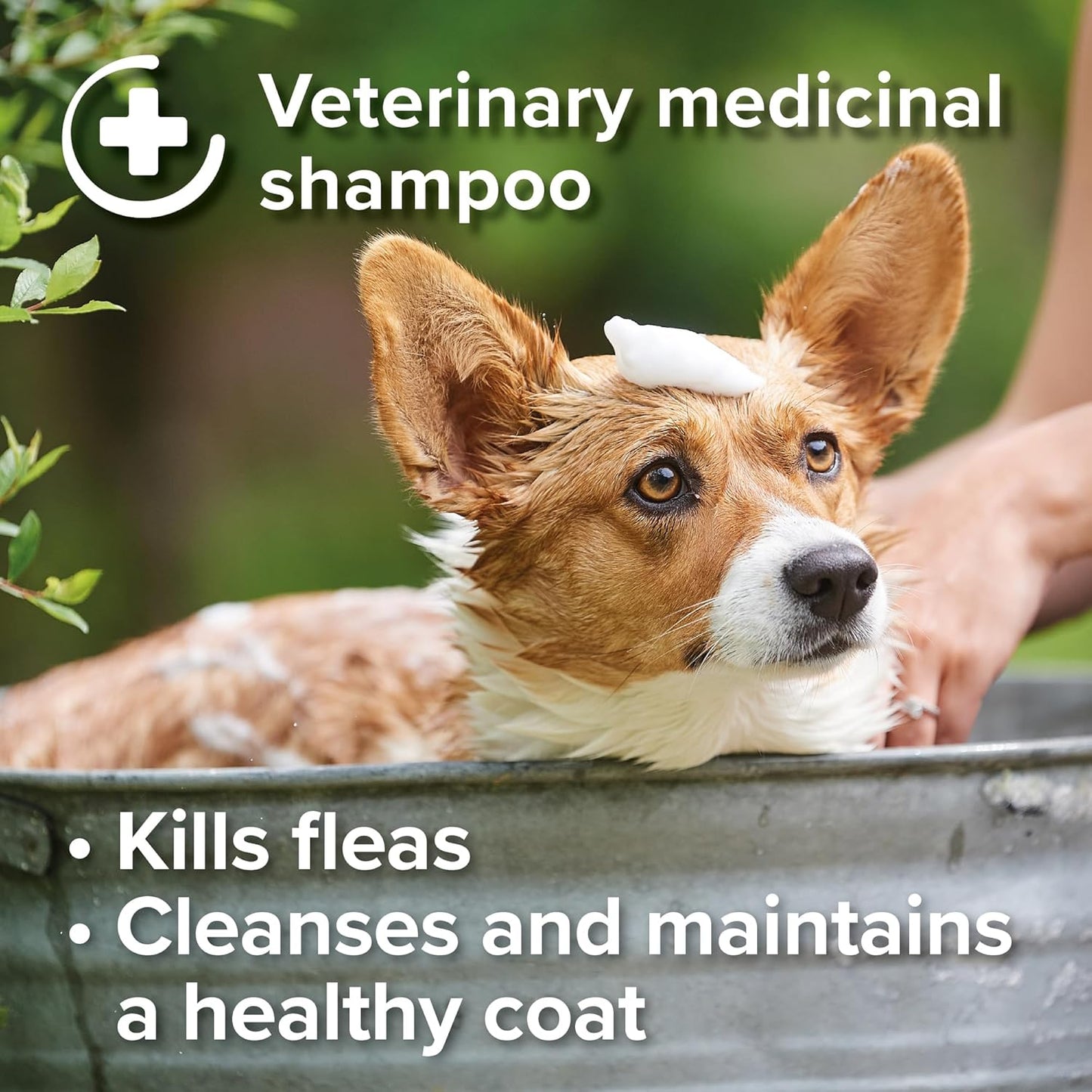 Beaphar Insecticidal Flea Shampoo 250ml