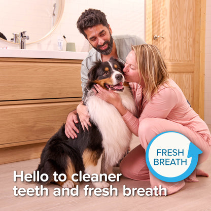 Beaphar Dual-Head Pet Toothbrush for Cats & Dogs