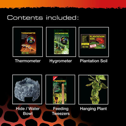 Exo Terra Spider & Invertebrate Accessory Starter Kit Habitat Care Set