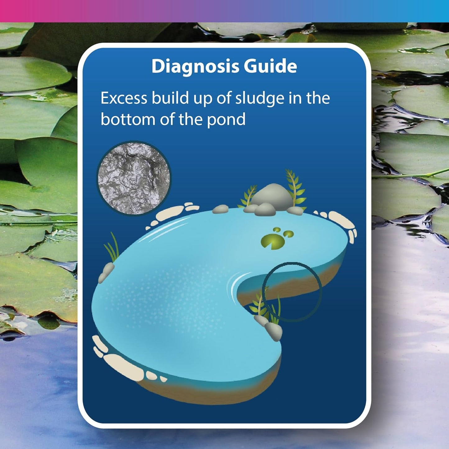 NT Labs Pond Sludge Remover Liquid Bacteria Support