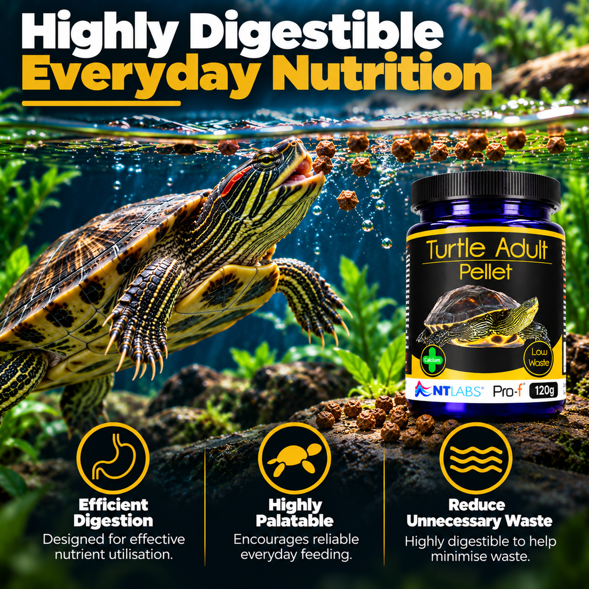 NT Labs Pro-F Turtle Adult Food 120g Floating Pellets Aquatic Terrapin