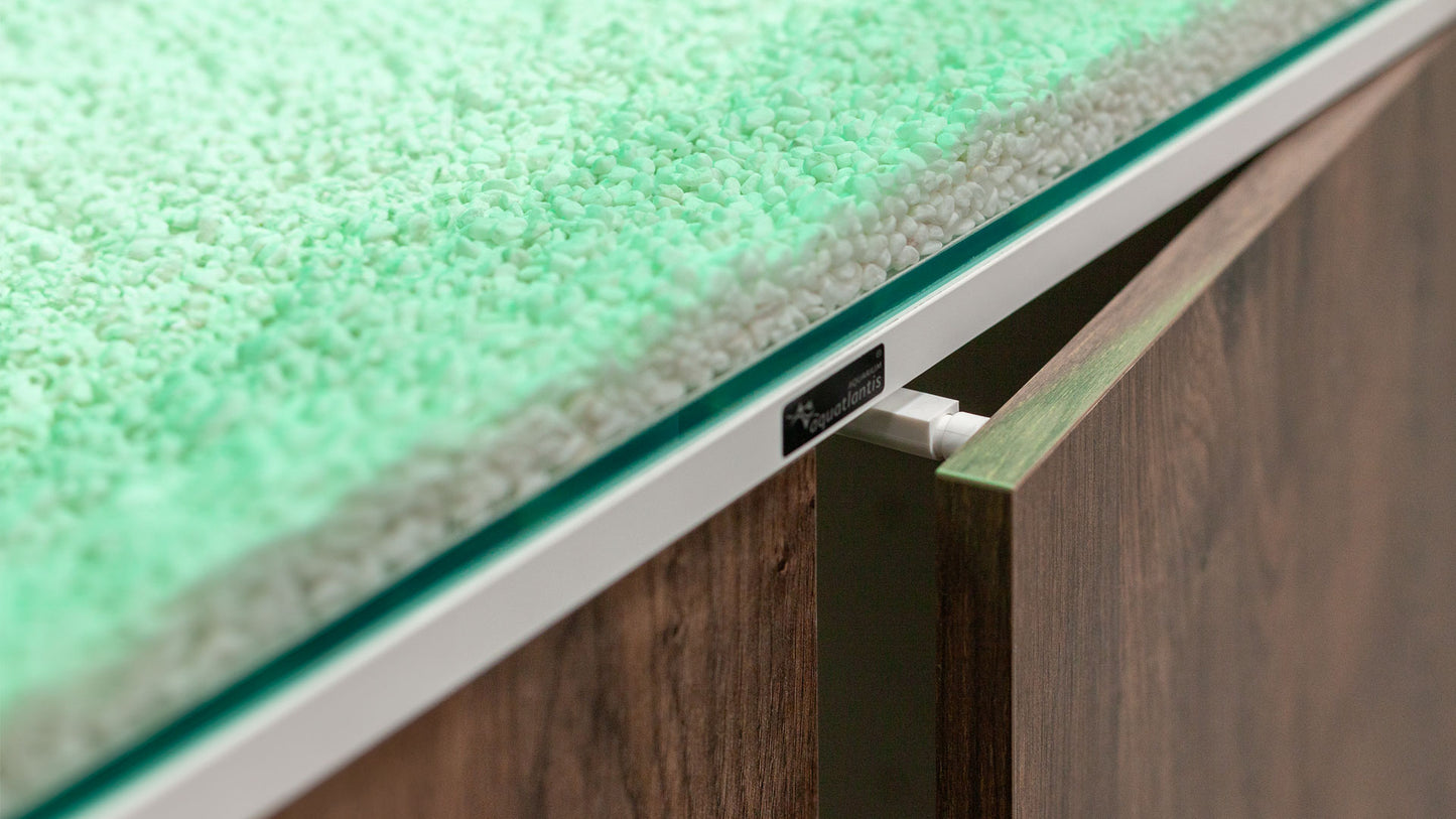 Shallow Aquascape 80 Aquarium