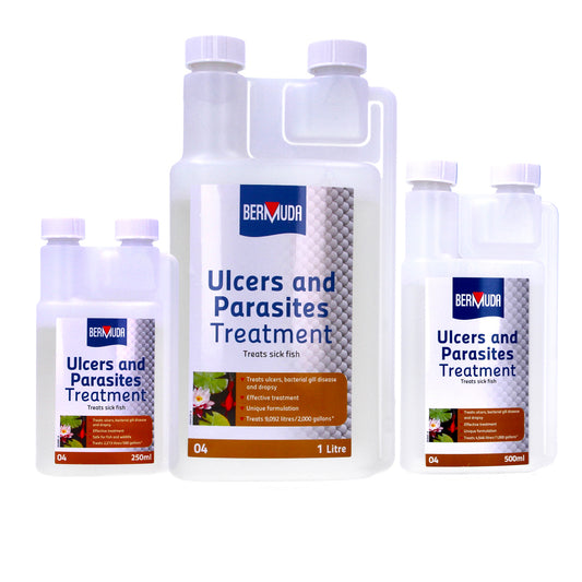 Bermuda Ulcers & Parasites Treatment