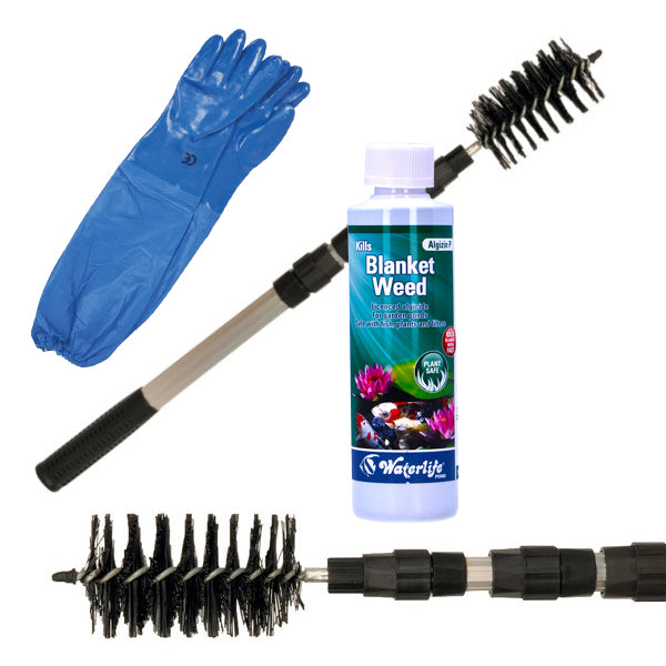 Blanketweed Bundle: Brush, Gloves & Algizin P
