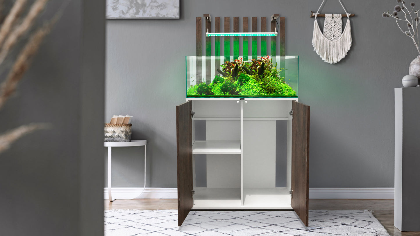 Shallow Aquascape 80 Aquarium